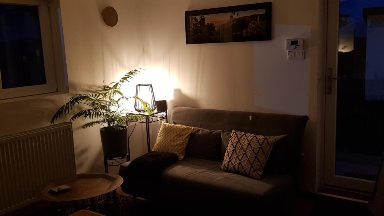Gite See You Soon - Maisonnette Green Lodge Ribeauvillé Екстериор снимка