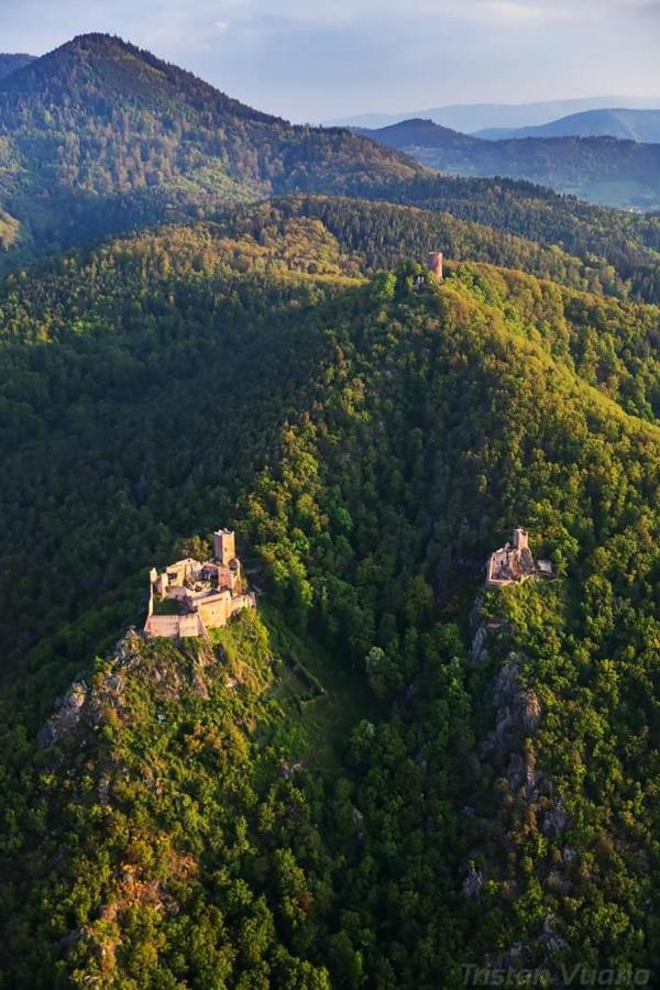 Gite See You Soon - Maisonnette Green Lodge Ribeauvillé Екстериор снимка